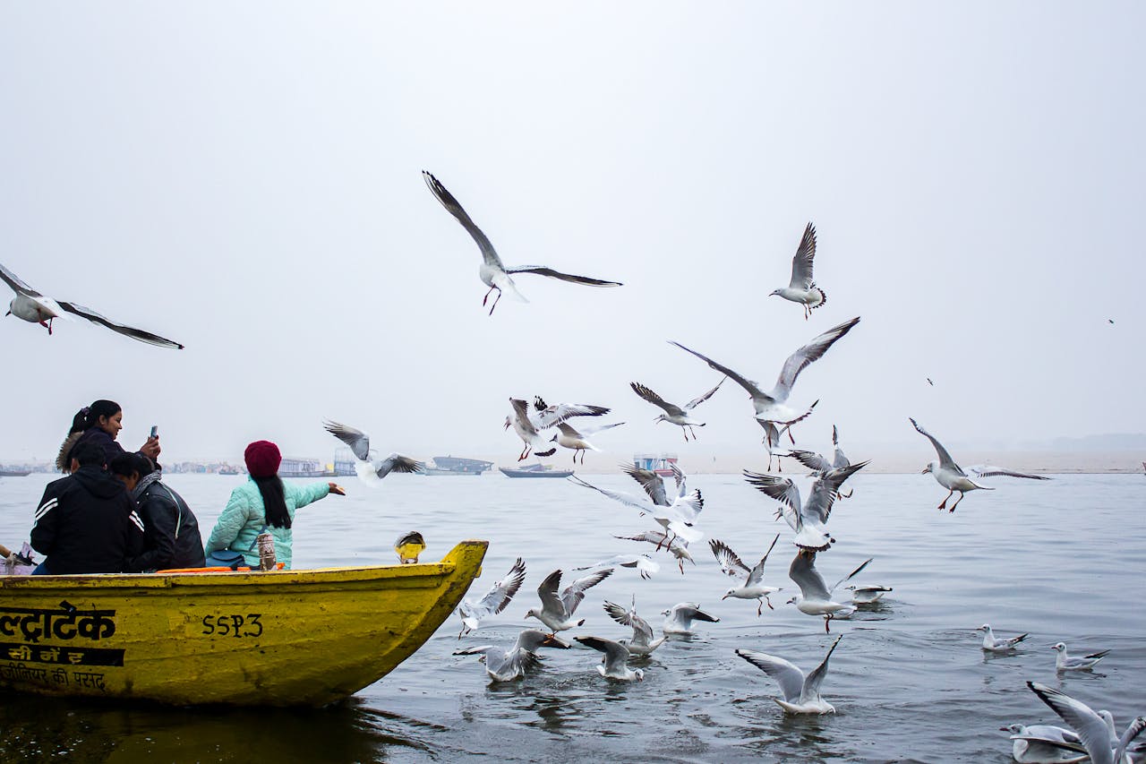 People on a boat observe seagulls over the Ganges River in Varanasi, capturing vibrant river life.